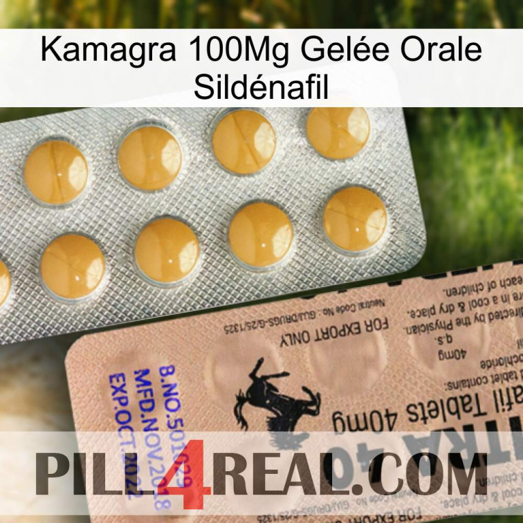 Kamagra 100Mg Gelée Orale Sildénafil 41